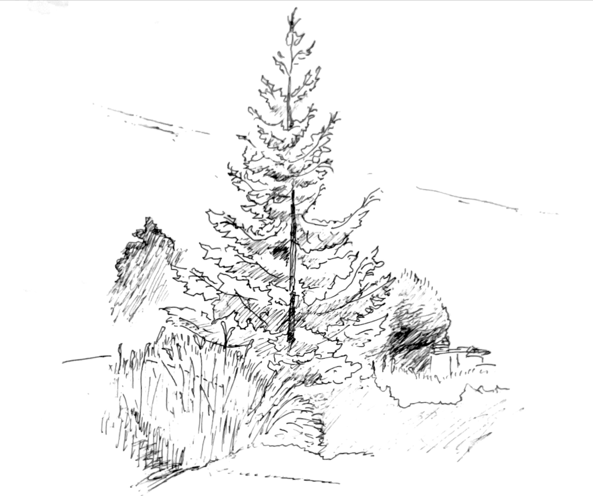 はこだて未来大学周辺の風景をスケッチする